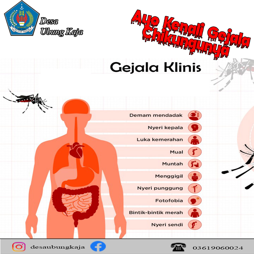 ayo kenali gejalak klinis chikungunya